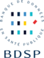 Logo large bdsp