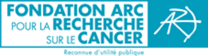 Logo large arc fondation