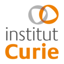 Logo medium logoscurie400px